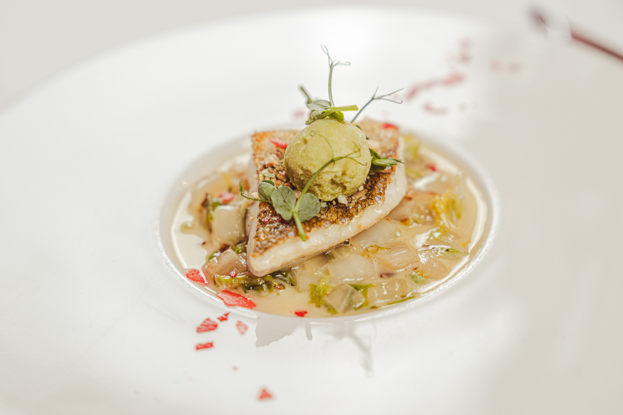 VILLA Schweizerhof Frühling 2026