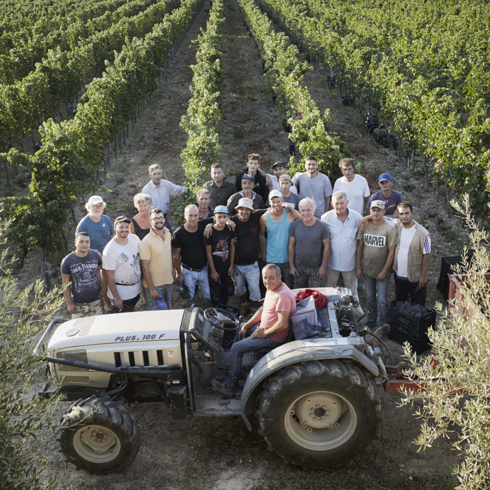 Gastwinzer villa schweizerhof tenuta palermi italien1