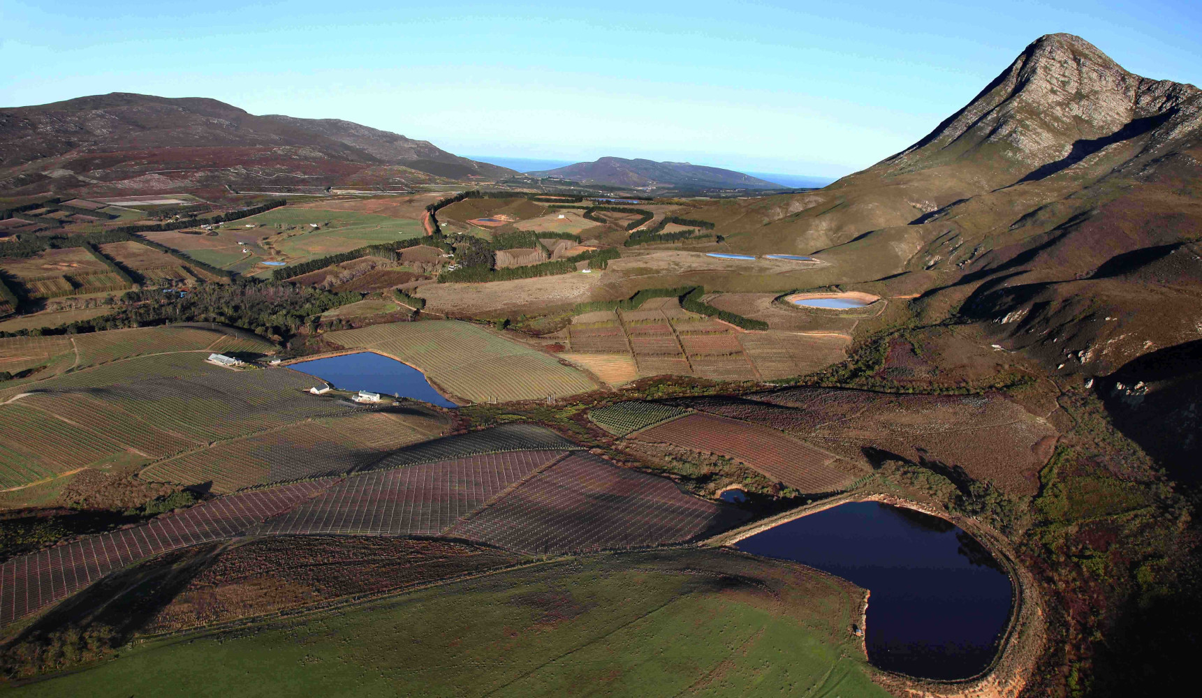Creation Wines