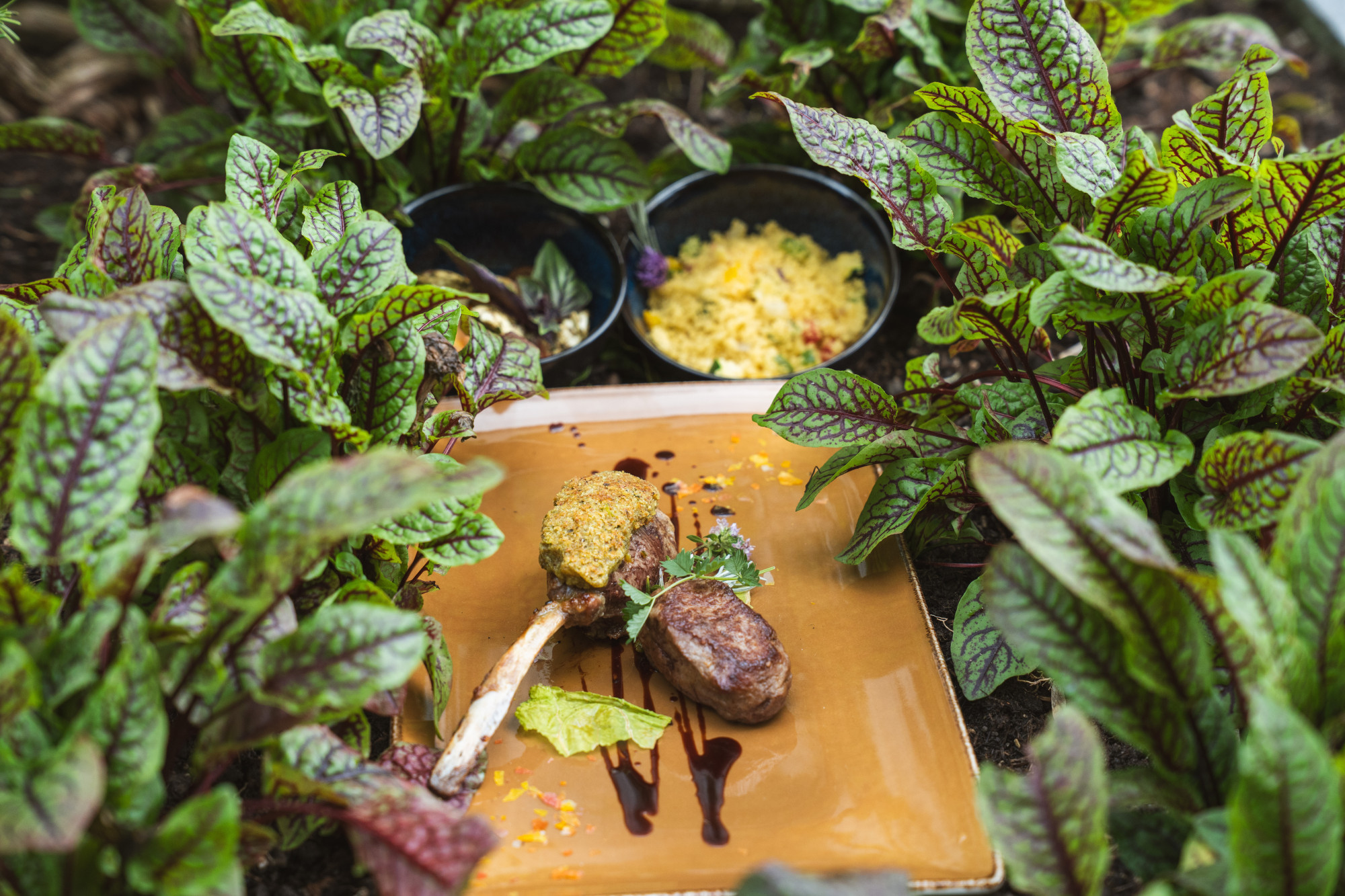 <p>Das Restaurant in Luzern <br
/>mit Terrasse am See.</p>